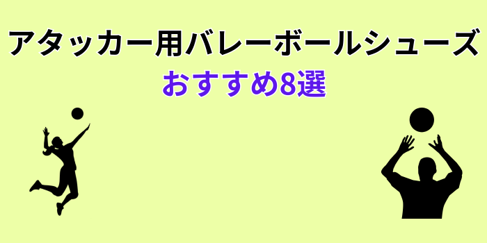 アタッカー バレーボールシューズ おすすめ