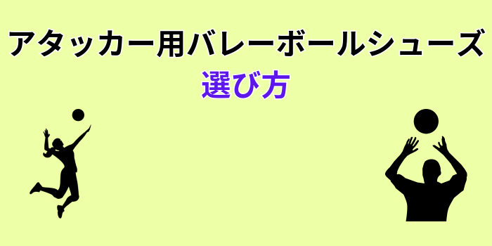 バレーボールシューズ アタッカー用